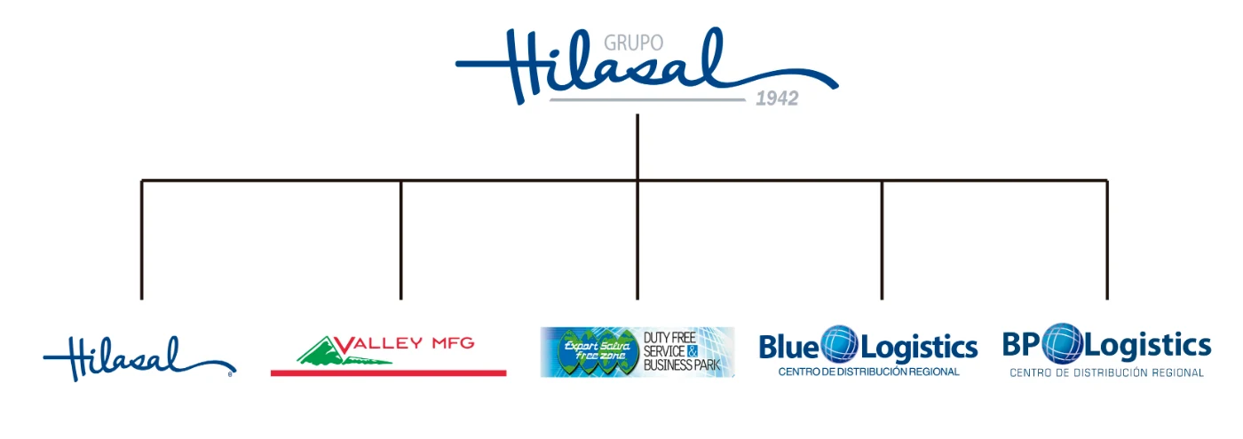 Estructura Grupo Hilasal
